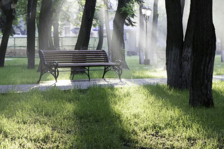 A bench in a park in the concept of 'best parks and greens spaces in Canary Wharf'.